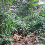 Loteamento à venda em Jardim Amália, São Paulo, SP