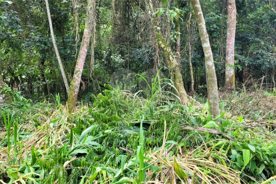 Terreno à venda no condomínio Cantareira, Mairiporã - SP