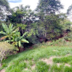 Casa à venda com 3 suítes no condomínio Aruã Brisas Ii, Mogi das Cruzes - SP
