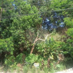 Terreno à venda no condomínio Altos da Baronesa, São Paulo - SP
