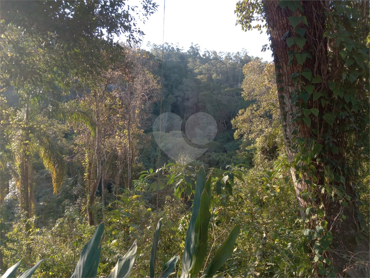 Terreno à venda no condomínio Cinco Lagos, Mairiporã - SP