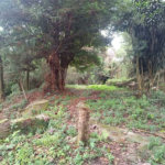 Terreno à venda no condomínio Associação Reserva das Hortênsias, Mairiporã - SP