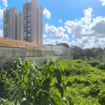 Terreno no Jardim Ricetti São Carlos - SP