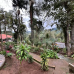 Casa à venda ou para alugar com 5 quartos em Roseira, Mairiporã, SP
