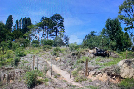 Terreno à venda em Pouso Alegre, Mairinque, SP