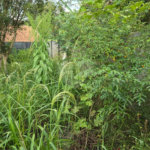 Casa à venda com 2 quartos, sendo 1 suíte, em Ressaca, Atibaia, SP