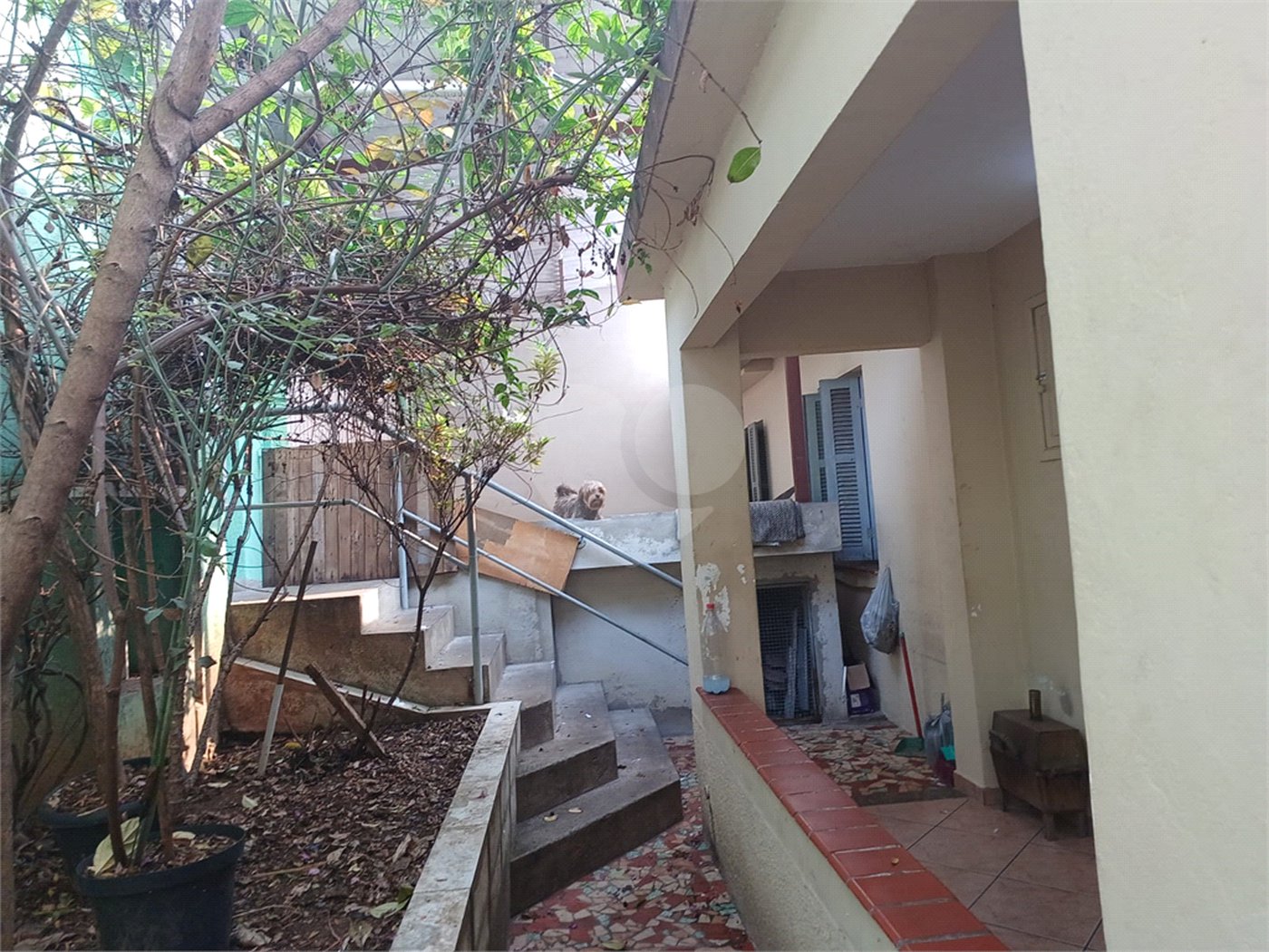 Sobrado à venda com 6 quartos em Jardim Peri, São Paulo, SP