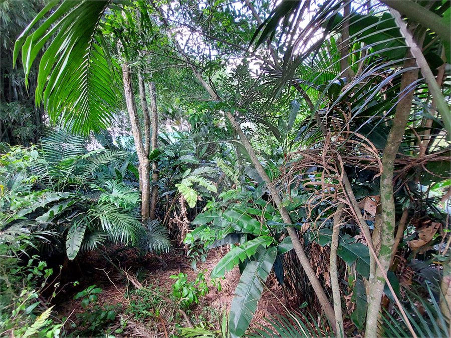 Casa à venda com 5 quartos, sendo 1 suíte, em Eldorado, São Paulo, SP