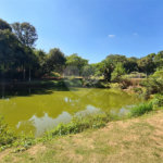 Casa à venda com 3 suítes no condomínio Terras de São Francisco, Vinhedo - SP