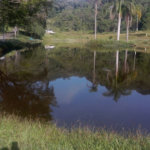 Sítio com 10 dormitórios à venda, 120000 m² por R$ 1.650.000,00 - Bairro Carmo Messias - Ibiúna/SP
