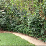 Apartamento à venda com 2 suítes em Parque do Morumbi, São Paulo, SP