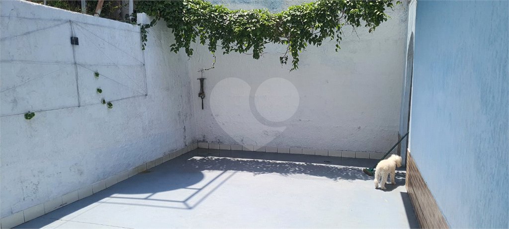 Terreno à venda com 3 quartos em Vila Guilherme, São Paulo, SP