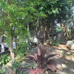Terreno à venda com 1 quarto em Sumaré, São Paulo, SP
