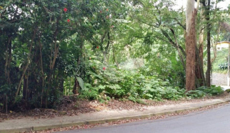 Terreno à venda em Tucuruvi, São Paulo, SP