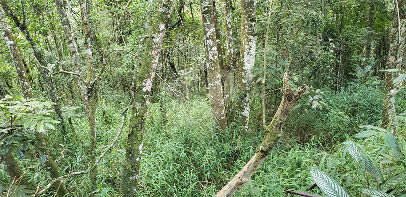 Terreno à venda em Serra da Cantareira, Mairiporã, SP