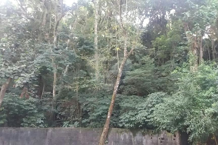 Terreno à venda em Tucuruvi, São Paulo, SP