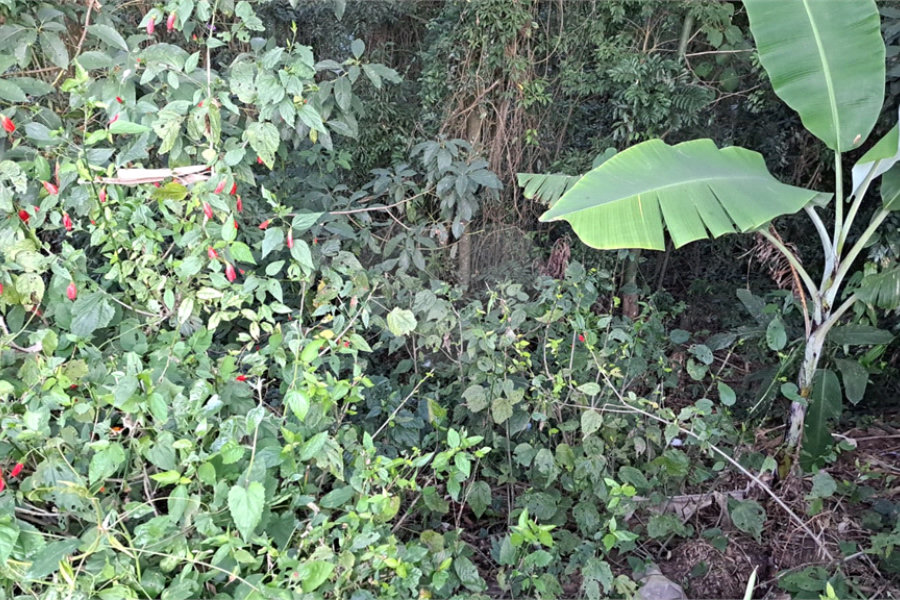 Terreno à venda no condomínio Sausalito, Mairiporã - SP