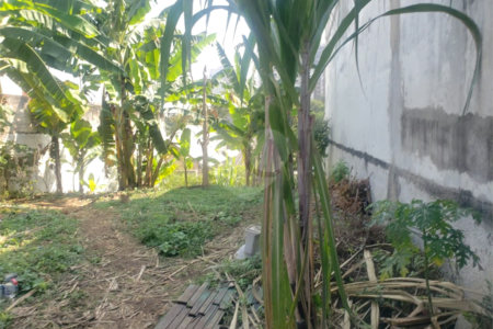 Terreno á venda com 266m ² - Bosque da Saúde
