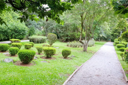 Terreno à venda em Jardim São Vicente, Cotia, SP