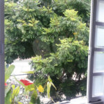 Casa à venda com 3 quartos, sendo 1 suíte,  em Jardim Aeroporto, São Paulo, SP