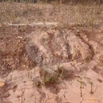 Terreno à venda no condomínio Mosaico Horizontes, Mogi das Cruzes - SP