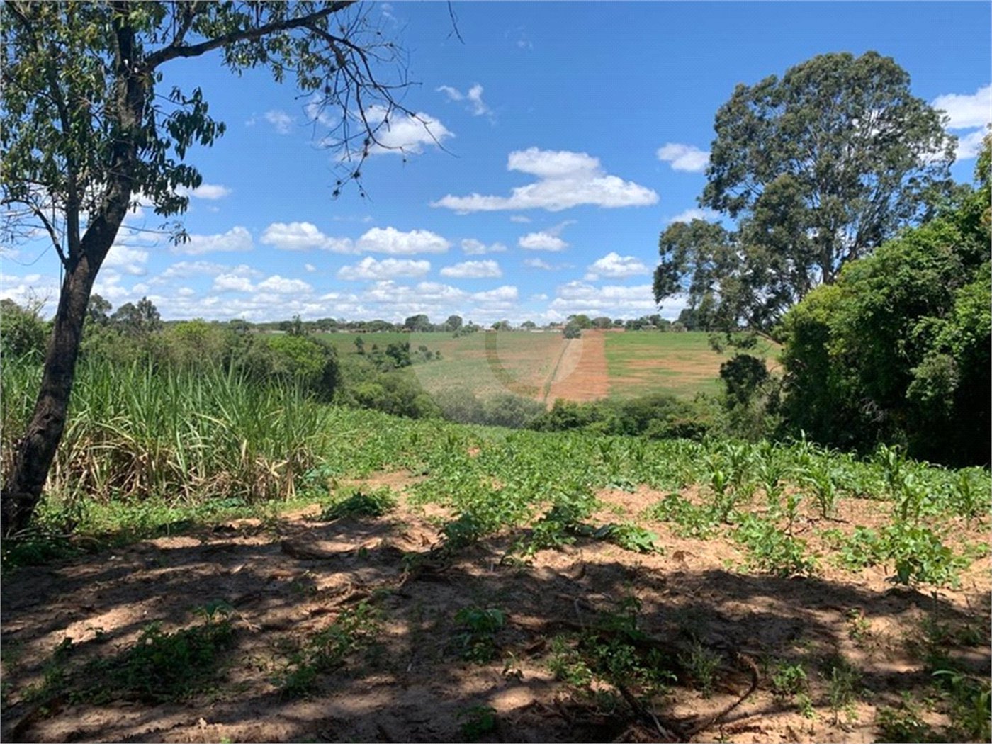 Área de Terra à venda em Cristóvão, Araçoiaba da Serra, SP