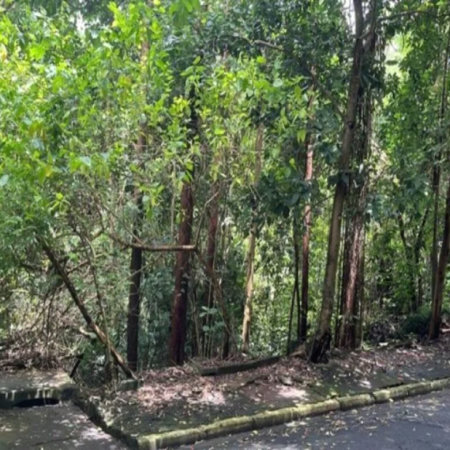 Terreno à venda em Jardim Ampliação, São Paulo, SP