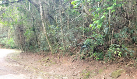 Terreno à venda em Serra da Cantareira, Mairiporã, SP