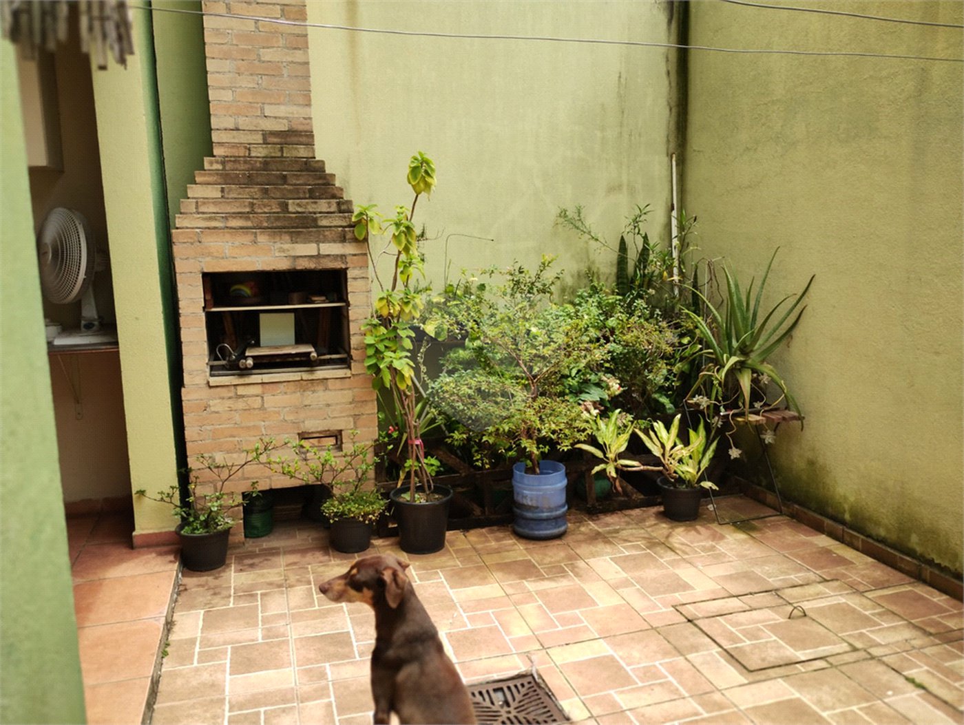 Sobrado à venda com 4 quartos, sendo 1 suíte,  em Butantã, São Paulo, SP