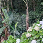 Terreno à venda em Roseira, Mairiporã, SP