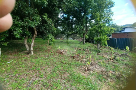Chácara à venda com 3 quartos, sendo 1 suíte, em Bosque, Vinhedo, SP