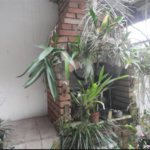 Sobrado à venda com 3 quartos em Casa Verde, São Paulo, SP