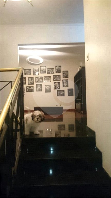 Sobrado à venda com 5 quartos, sendo 2 suítes, em Brooklin Paulista, São Paulo, SP