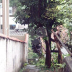 Terreno à venda em Santana, São Paulo, SP