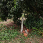 Chácara à venda com 3 quartos, sendo 1 suíte,  em Área Rural de Sarapuí, Sarapuí, SP