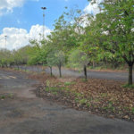 Galpão à venda em Vila Xavier (vila Xavier), Araraquara, SP