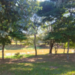 Terreno à venda em Jardim Europa II, Indaiatuba, SP
