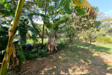 Casa à venda com 4 quartos, sendo 2 suítes, em Bosque, Vinhedo, SP
