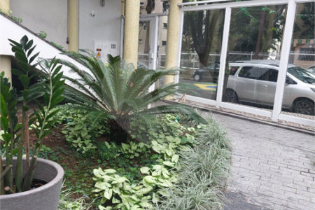 Apartamento à venda com 3 quartos, sendo 1 suíte, em Vila Monumento, São Paulo, SP