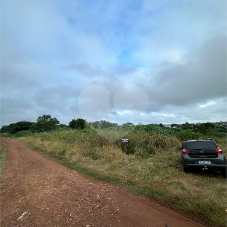 Terreno à venda em Bosque de Ponta Porã, Ponta Porã, MS