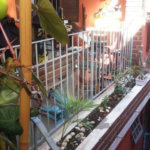 Casa à venda com 3 quartos, sendo 1 suíte, no condomínio Travessa Bruno Andreoni,16, São Paulo - SP