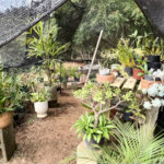 Chácara à venda com 4 quartos, sendo 1 suíte, em Pinheirinho, Vinhedo, SP