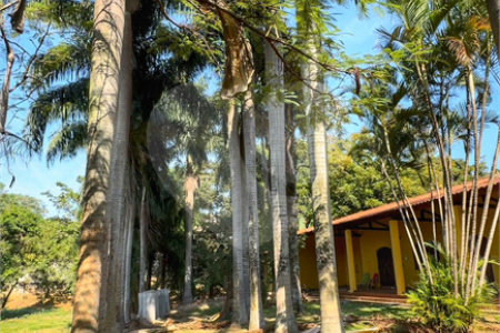 Casa à venda com 6 quartos, sendo 5 suítes,  em Santa Claudina, Vinhedo, SP