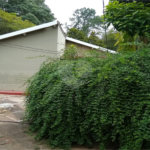 Sítio à venda com 6 quartos, sendo 2 suítes, em Nova Trieste, Jarinu, SP