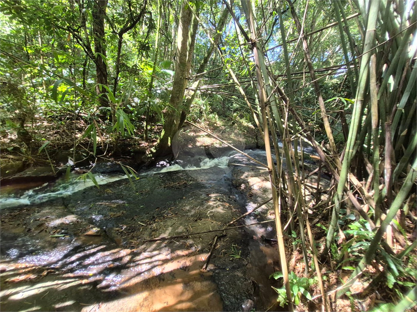 Casa Térrea à venda com 3 quartos, sendo 1 suíte,  em Serra da Cantareira, Mairiporã, SP