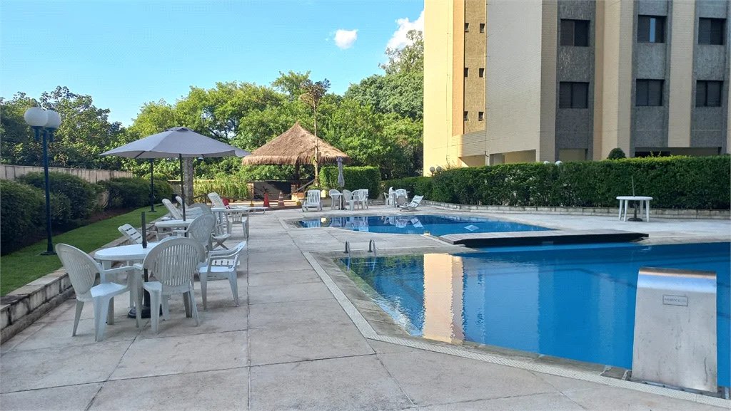 Apartamento à venda com 3 quartos, sendo 1 suíte, em Vila Indiana, São Paulo, SP