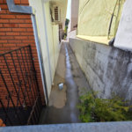 Casa 3 dormitórios + edícula Ibaté.