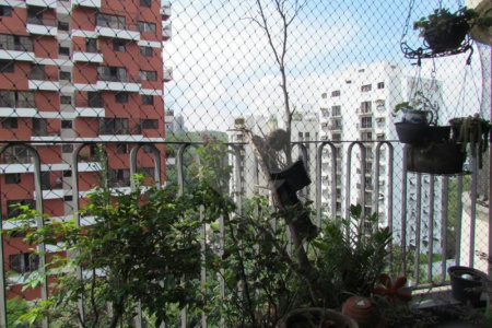 Apartamento à venda com 4 quartos, sendo 1 suíte, em Jardim Ampliação, São Paulo, SP