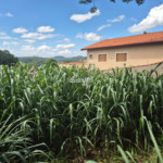 Terreno à venda em Jardim dos Pinheiros, Atibaia, SP