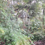 Terreno à venda em Jardim Maristela, Atibaia, SP